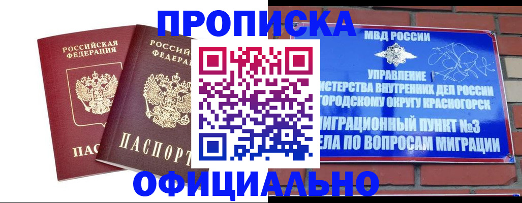 временная регистрация адрес в Чкаловске